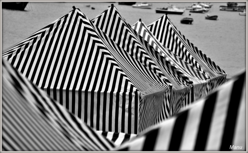 IMG_6367.CR2 (2).jpg IMG_6367.CR2 (2).jpg