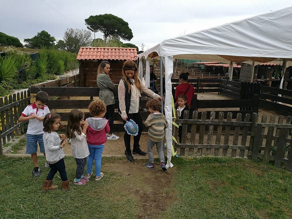 14699784_10155300024912786_2105668143_n.jpg 14699784_10155300024912786_2105668143_n.jpg