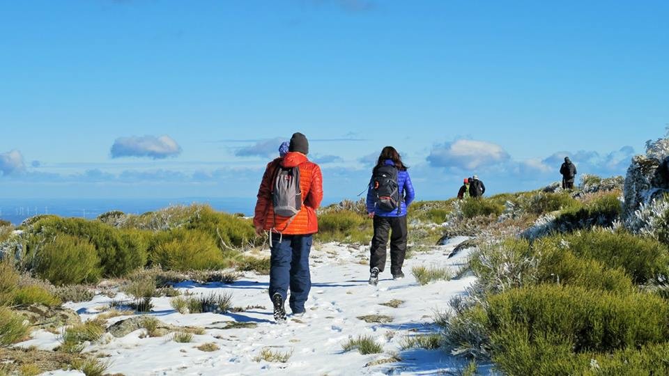 27072855_1833599499984477_1187403061903957213_n.jp