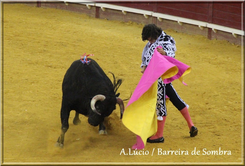 IMG_6588.JPG IMG_6588.JPG