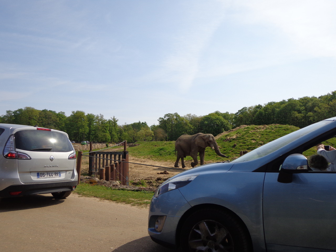 DSC09330.JPG DSC09330.JPG