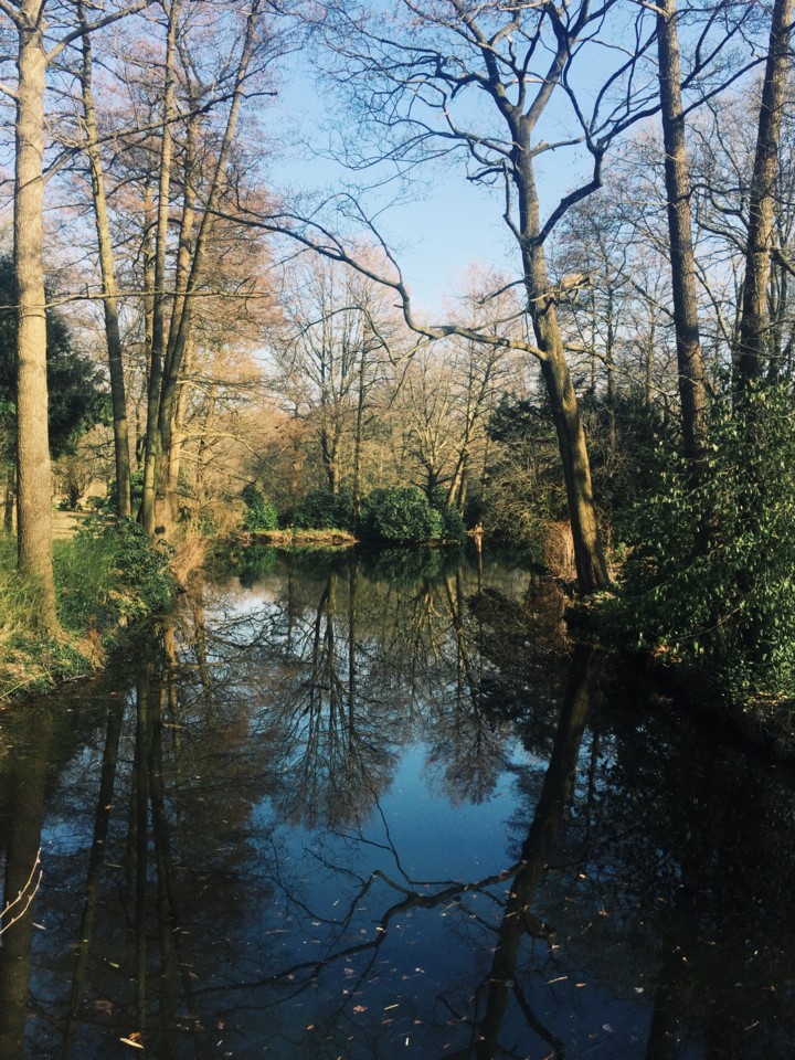 berlim-tiergarten.jpg berlim-tiergarten.jpg