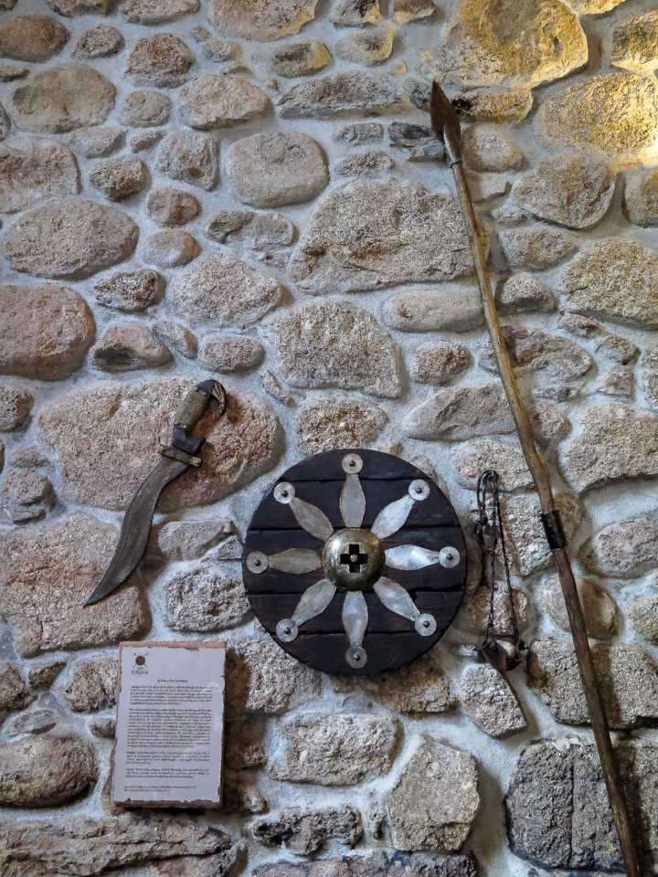 IMG_6503.jpg IMG_6503.jpg