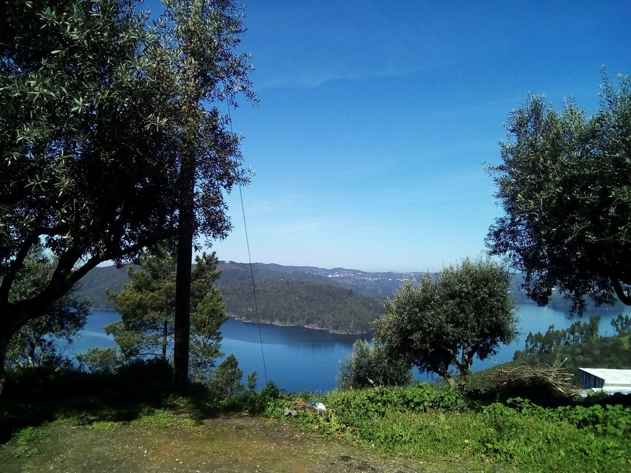 30708149_10211341118871877_192995463547322368_o.jp 30708149_10211341118871877_192995463547322368_o.jp