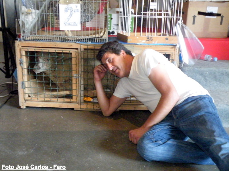 Aljustrel 2017 095.JPG