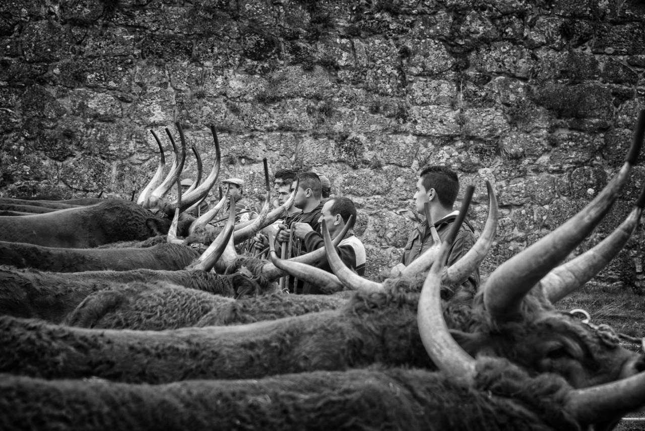 Santos 2015 (1) 189 - cópia copy.jpg Santos 2015 (1) 189 - cópia copy.jpg