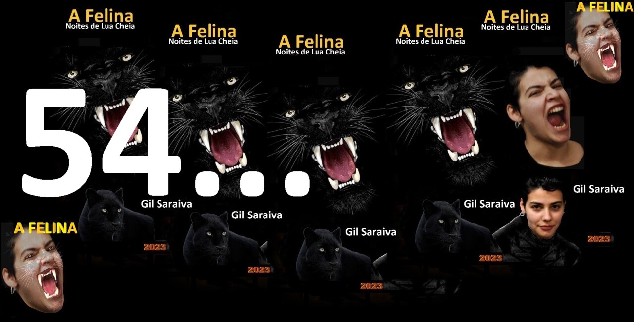 A Felina - 54.jpg