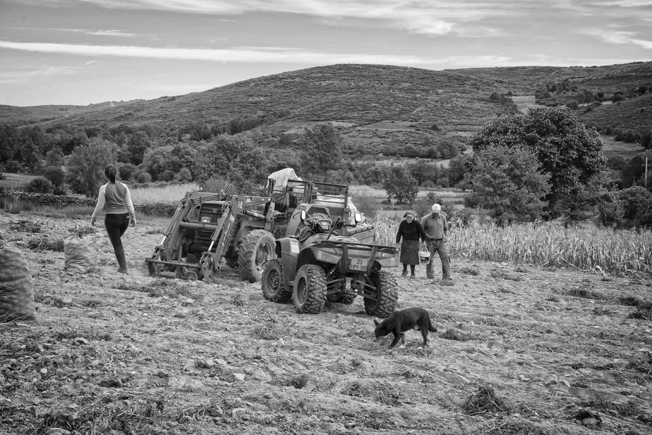 _JMF7541 - cópia copy.jpg _JMF7541 - cópia copy.jpg