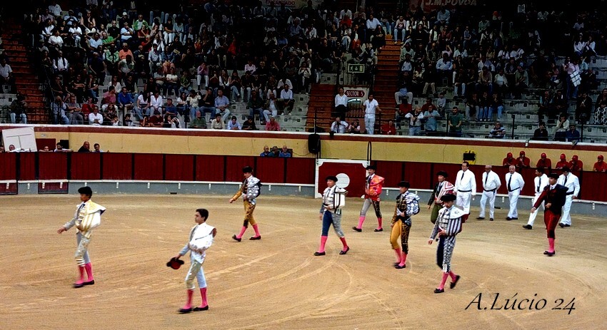 05 10 24 vila franca cortesias.jpg