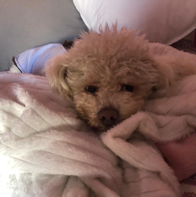 Imagem WhatsApp 2023-03-01 às 17.45.06.jpg