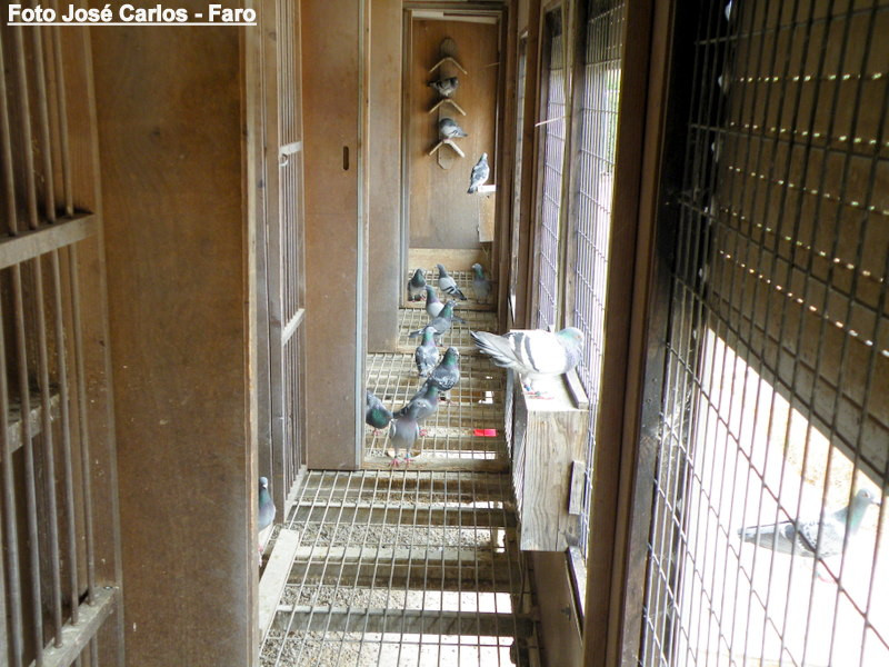 Lagos 027.JPG Lagos 027.JPG