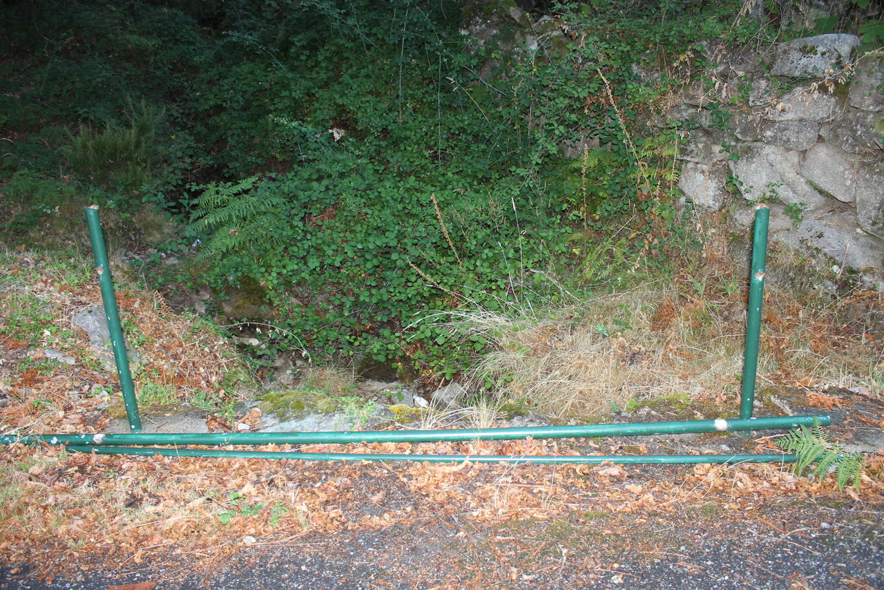 IMG_0837.JPG IMG_0837.JPG