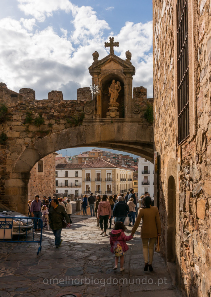 _DSC6382.jpg _DSC6382.jpg