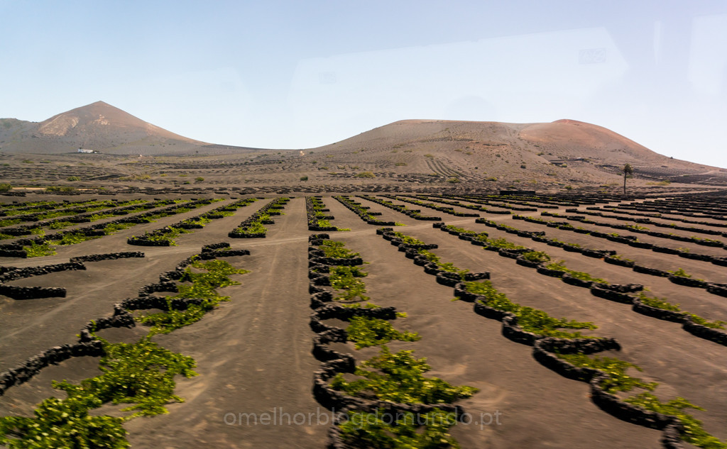 _DSC7499.jpg _DSC7499.jpg