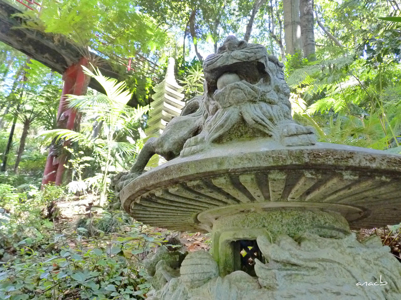 Funchal - Jardins Monte Palace (950) cópia assin.