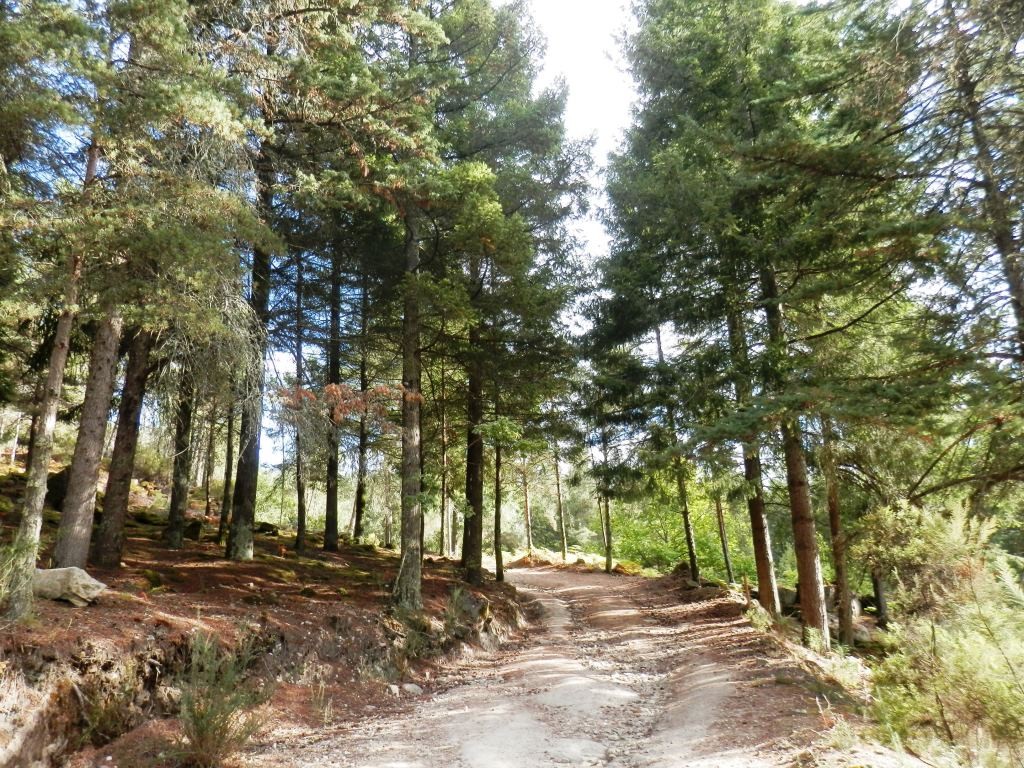 P9120616.JPG P9120616.JPG