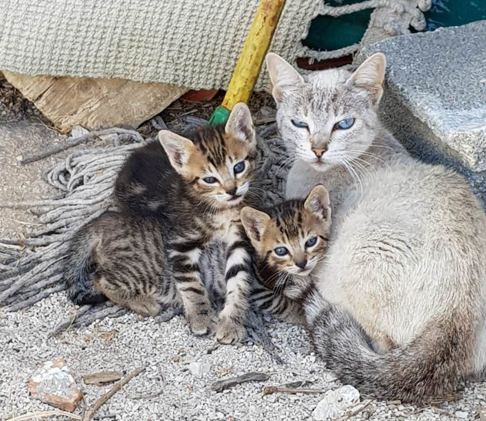 juanitta.jpg juanitta.jpg