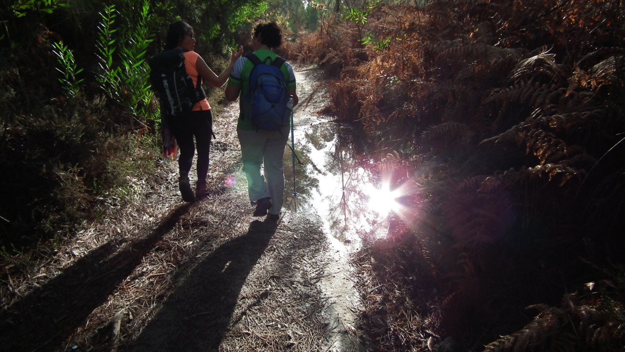 47683390_2518545368187561_2771092730212777984_o.jp