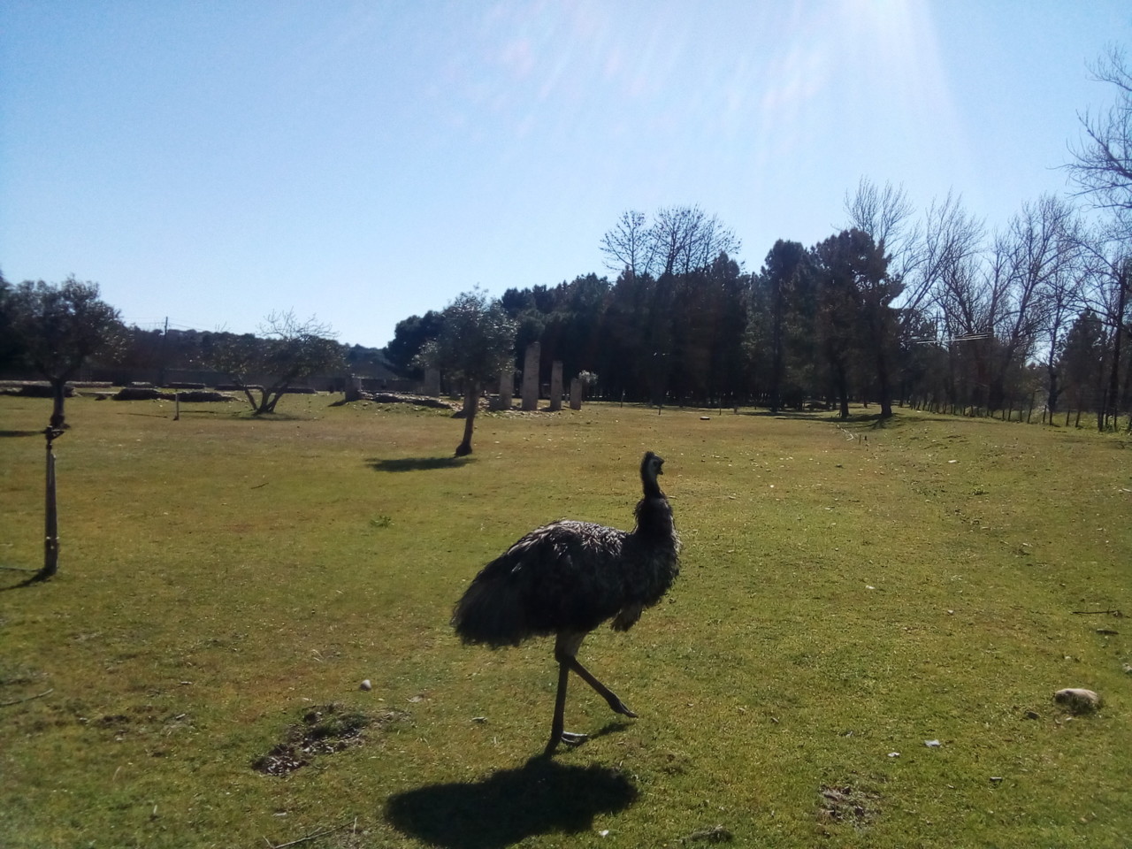 IMG_20190327_102831.jpg IMG_20190327_102831.jpg