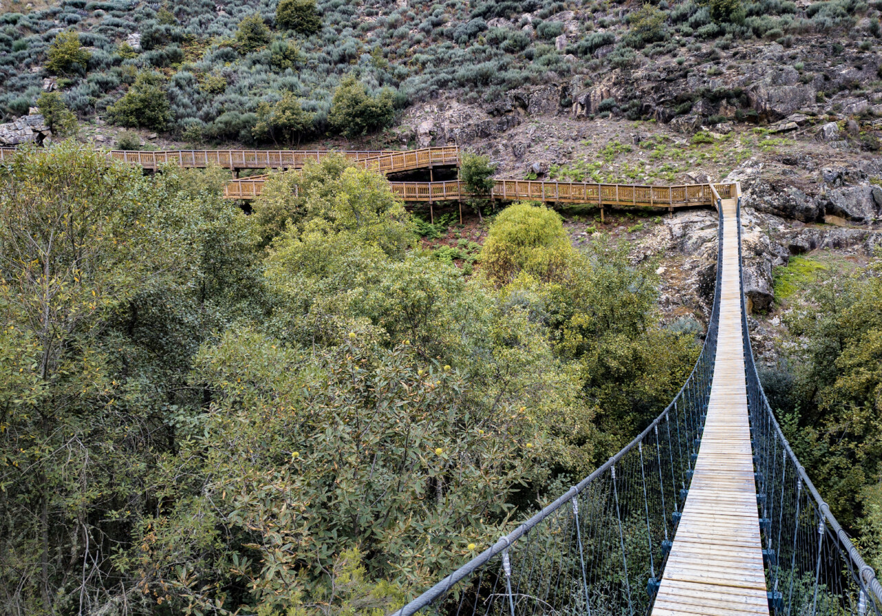 Passadiços do Mondego.jpg