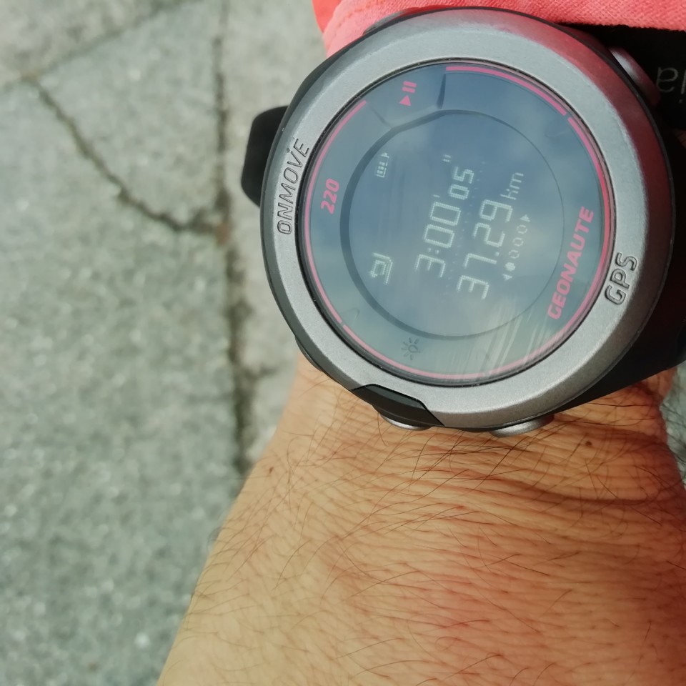 IMG_20201024_083941.jpg IMG_20201024_083941.jpg