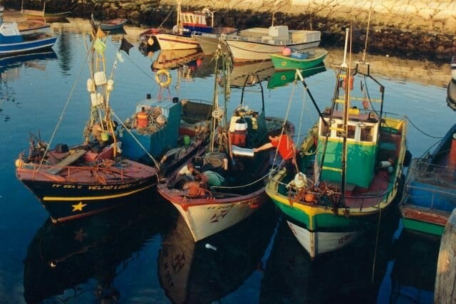 FIGUEIRA DA FOZ - TRAINEIRAS.jpg