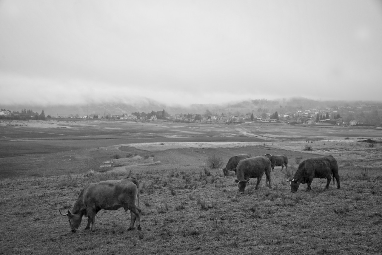 _JMF1281 - cópia copy.jpg _JMF1281 - cópia copy.jpg