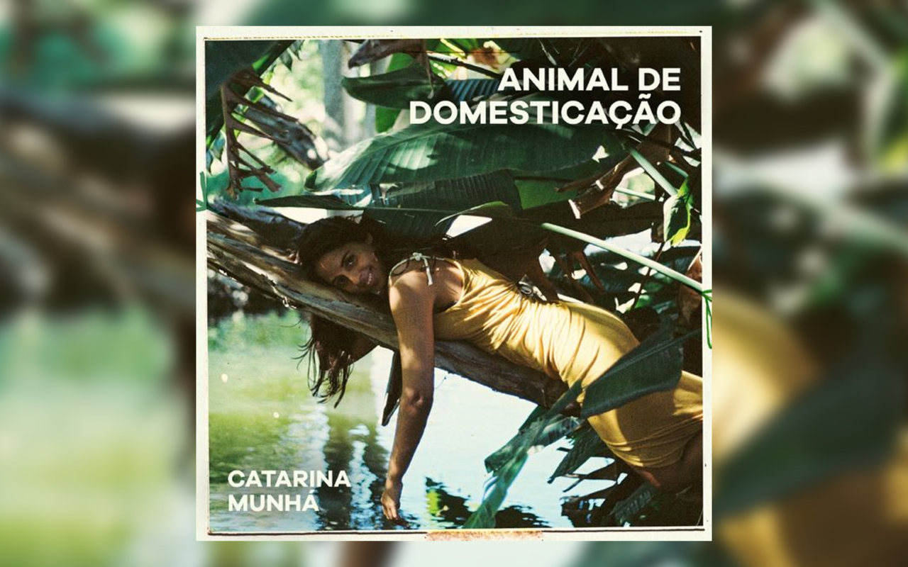 catarinamunha_animaldedomesticacao.png catarinamunha_animaldedomesticacao.png