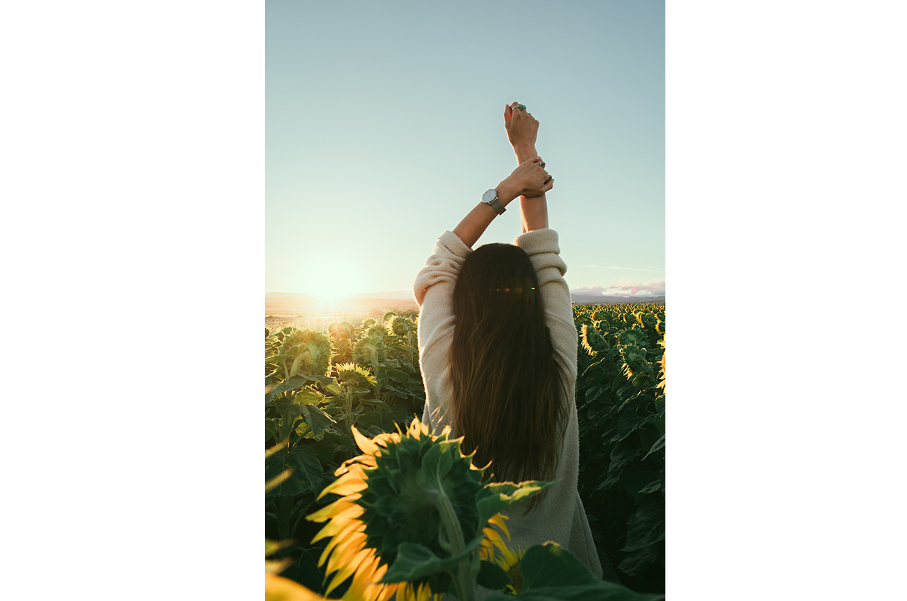 as linhas que nos tecem as linhas que nos tecem