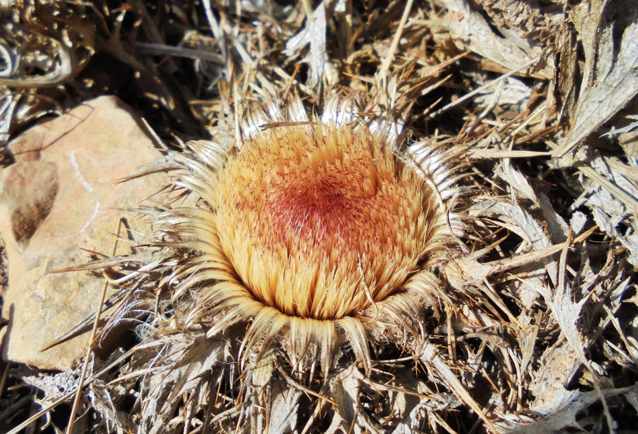 depois do verão....JPG