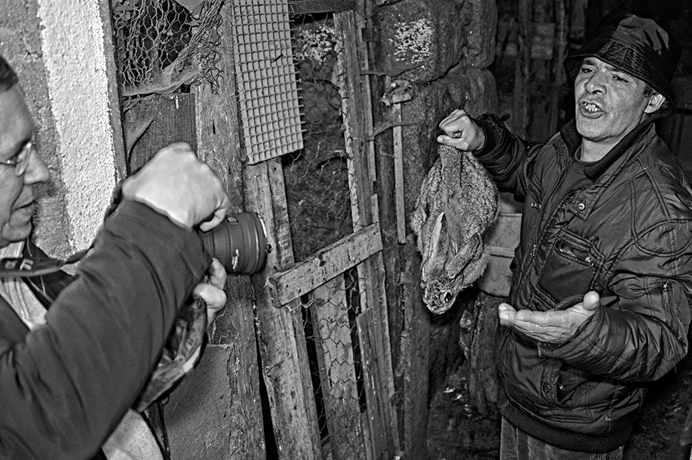 _JMD4865 - Cópia.JPG _JMD4865 - Cópia.JPG