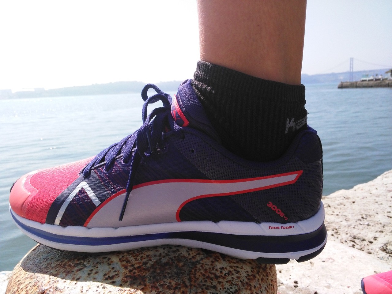 IMG_20150926_124258.jpg IMG_20150926_124258.jpg