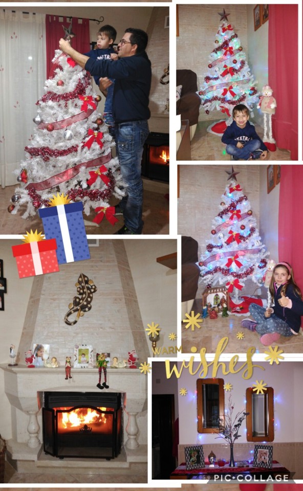 Collage 2017-11-30 11_47_37.jpg