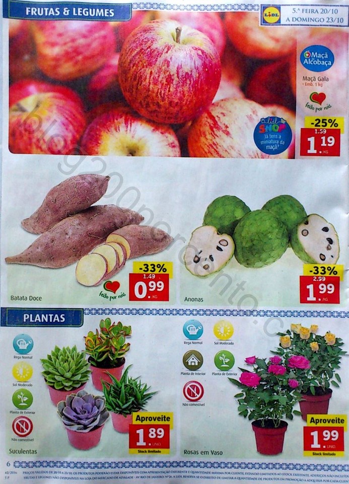 lidl semana aa_6.jpg