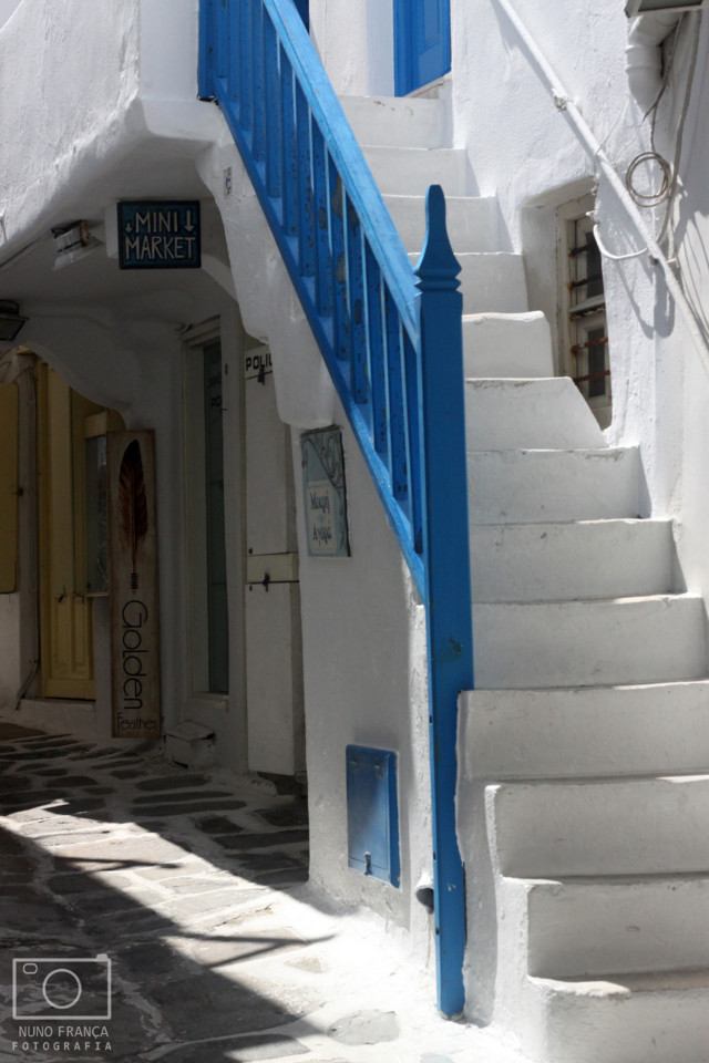 IMG_5876_net.jpg IMG_5876_net.jpg