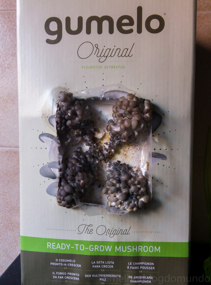 IMG_20160513_190050.jpg IMG_20160513_190050.jpg