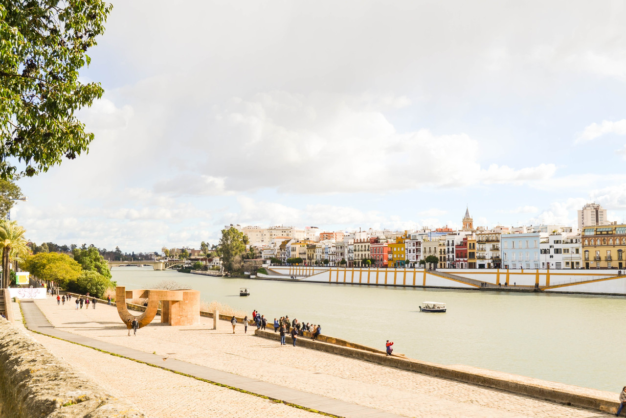 DSC_0493.jpg DSC_0493.jpg