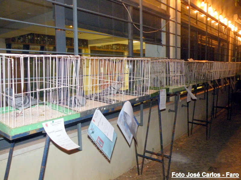 Paderne 2017 005.JPG