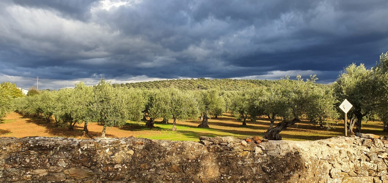 Imagem WhatsApp 2025-03-10 às 16.04.10_aa9dde0d.j