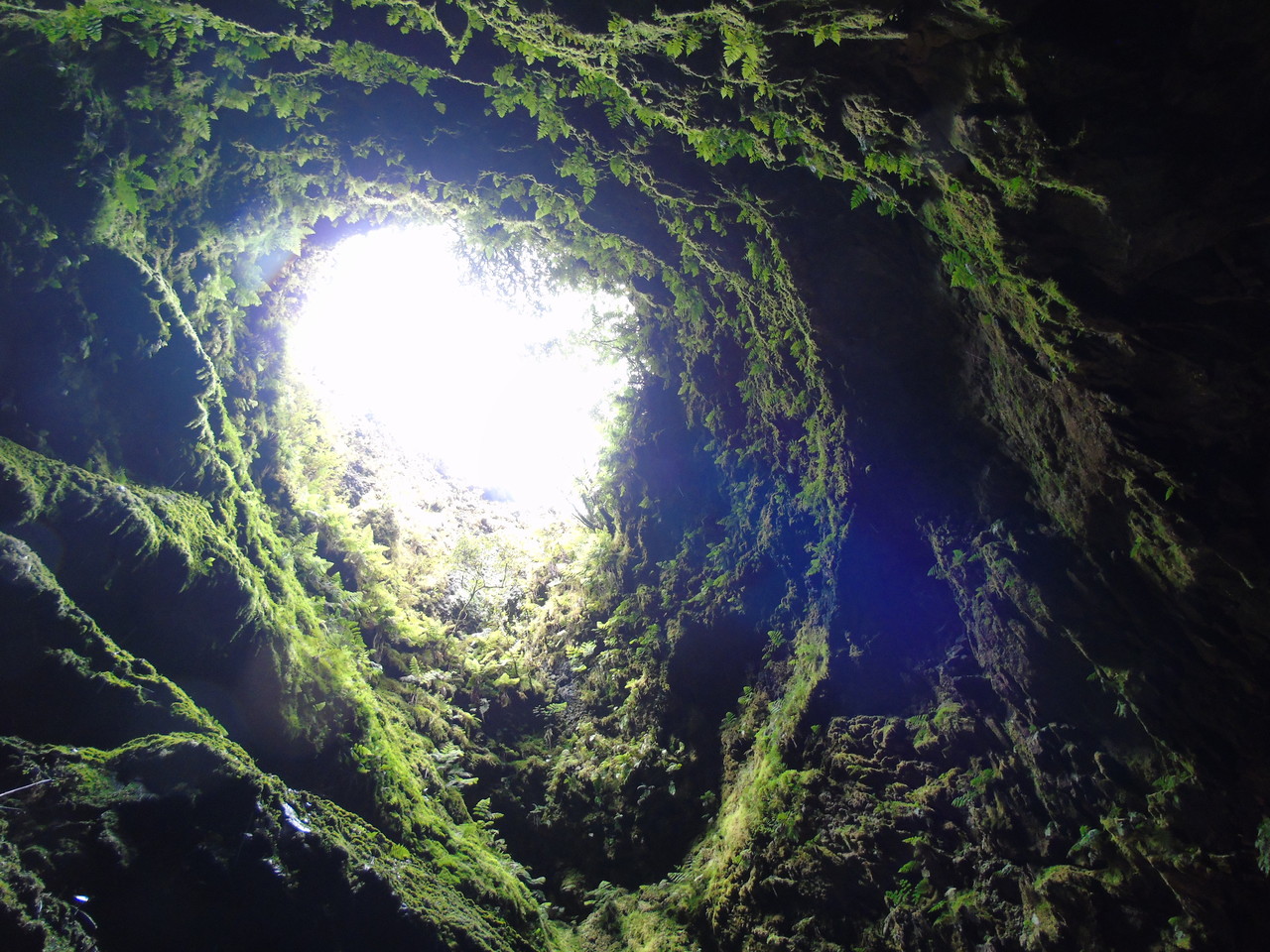 DSC03594.JPG DSC03594.JPG