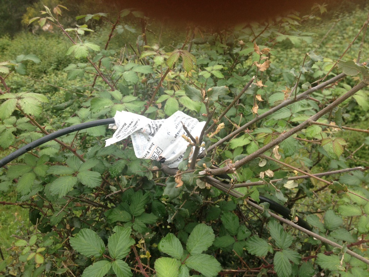 imgpsh_fullsize (1).jpg