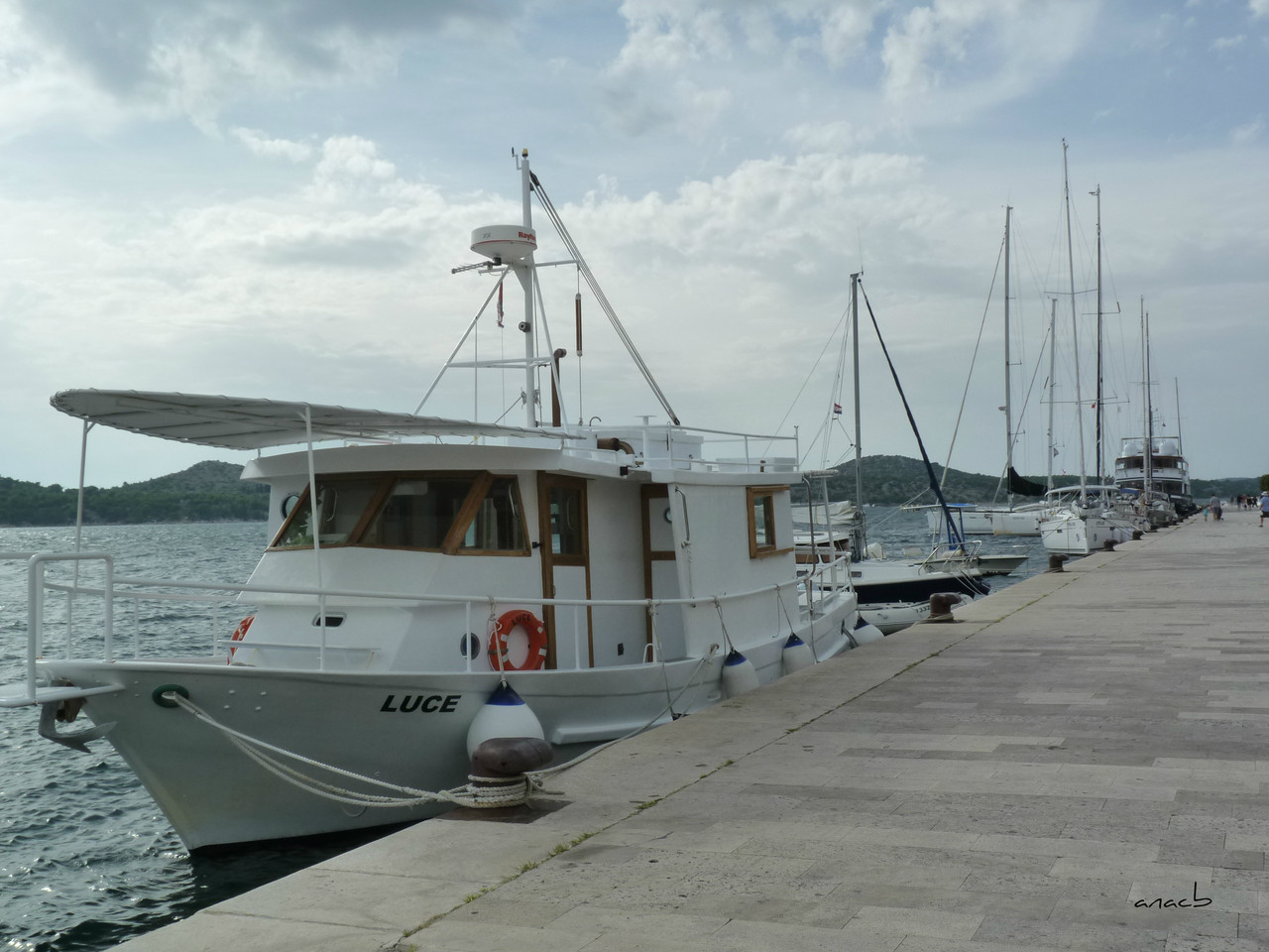 P1380759 cópia assin.jpg