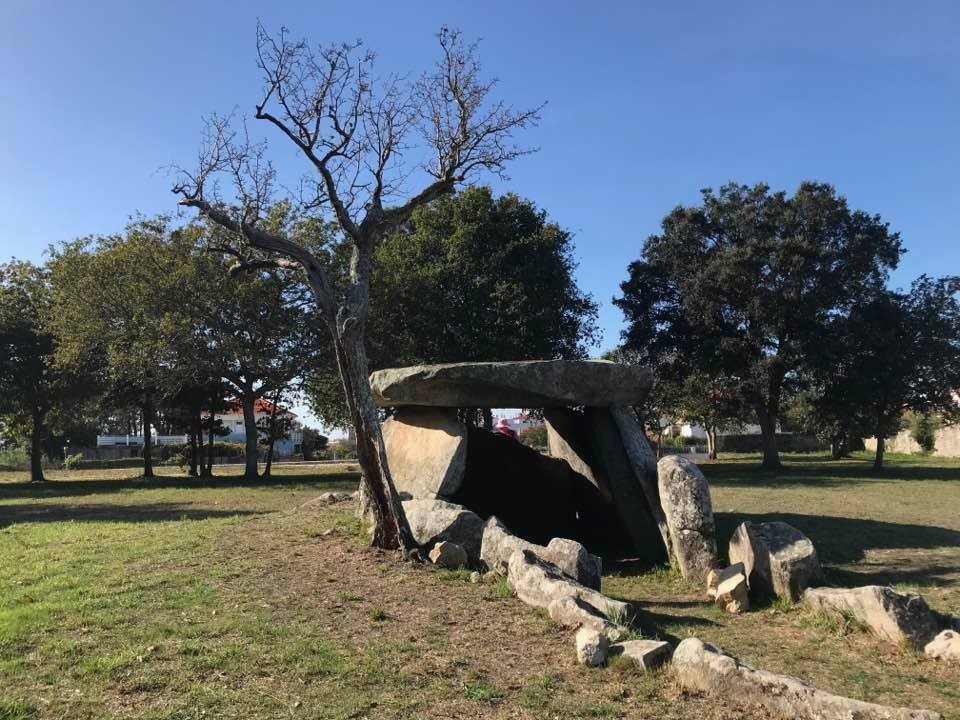 22885811_1917141411633606_7244588692053992814_n.jp 22885811_1917141411633606_7244588692053992814_n.jp