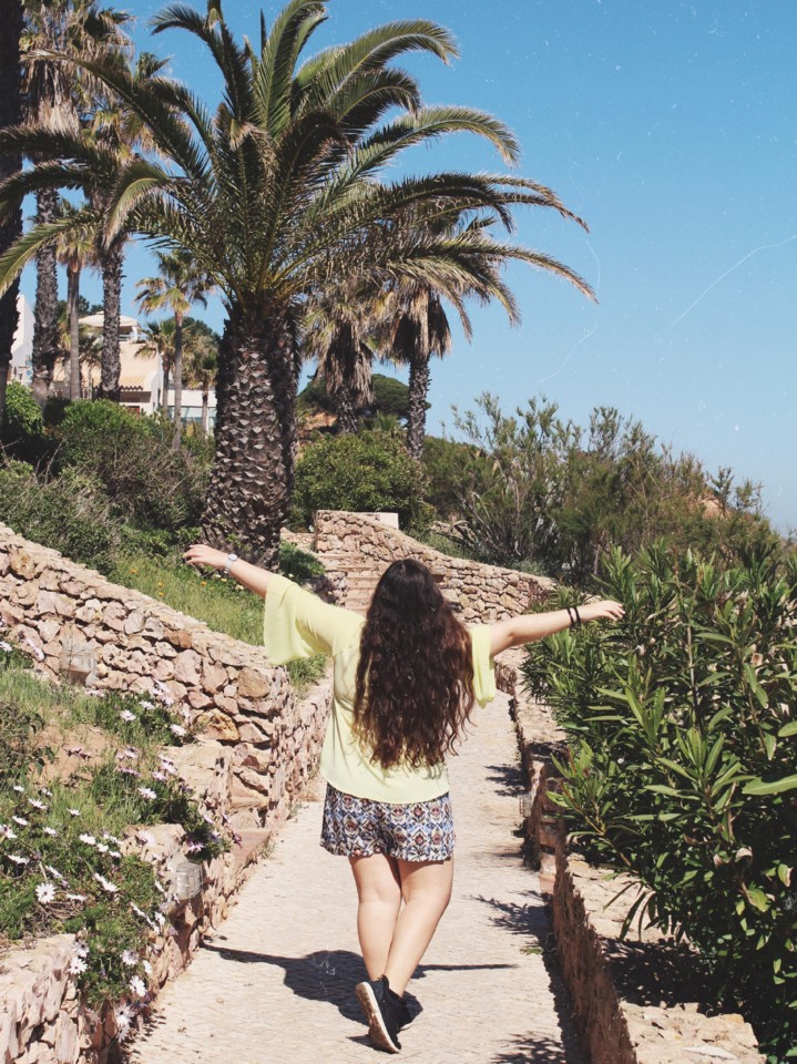 IMG_4478.JPG IMG_4478.JPG