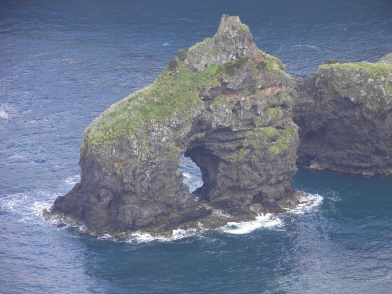 Ponta Ruiva, Flores (4).JPG