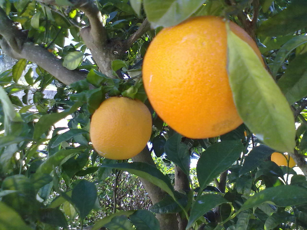 01022016928.jpg 01022016928.jpg