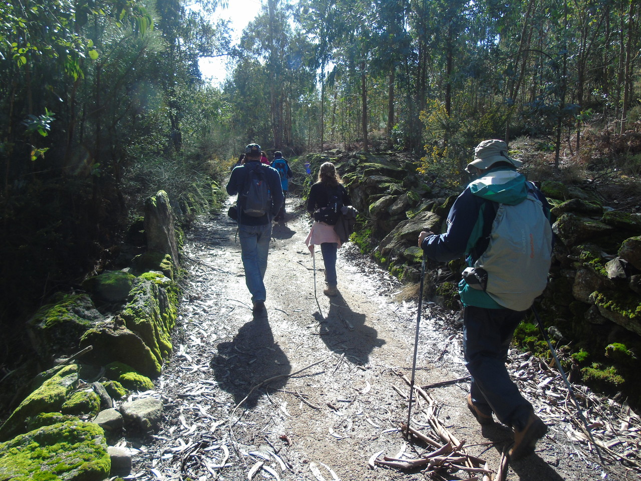 DSC08747.JPG DSC08747.JPG