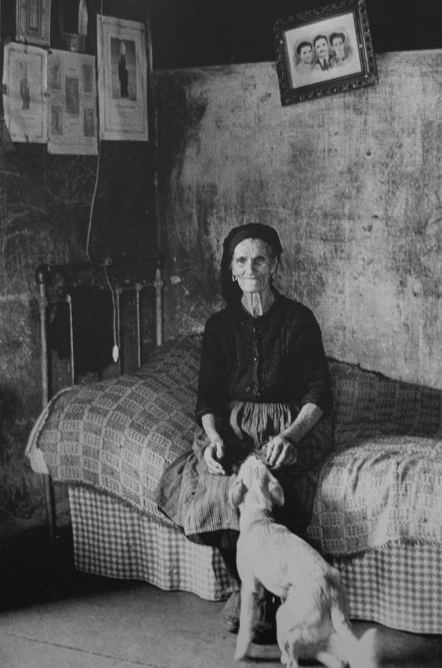 gerard fourel.jpg gerard fourel.jpg