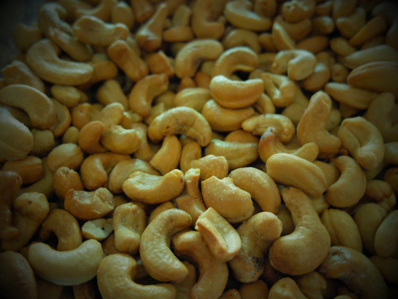 DSCF6540.JPG DSCF6540.JPG