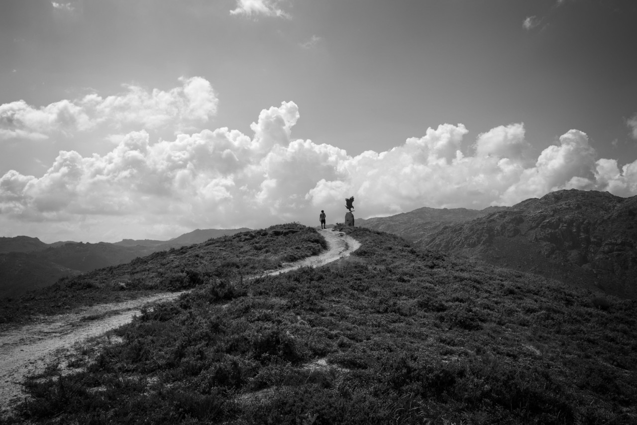 DSCF6815 - cópia copy.jpg